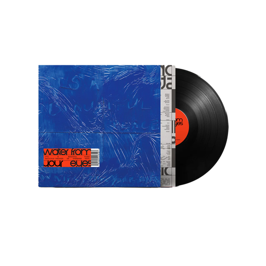 Water From Your Eyes "It's A Beautiful Place" LP